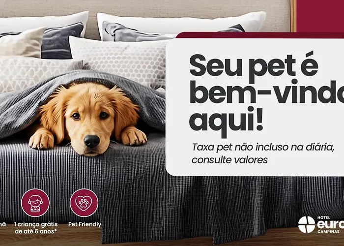 Hotel Euro Suite Campinas By Nacional Inn - Proximo Ao Cambui